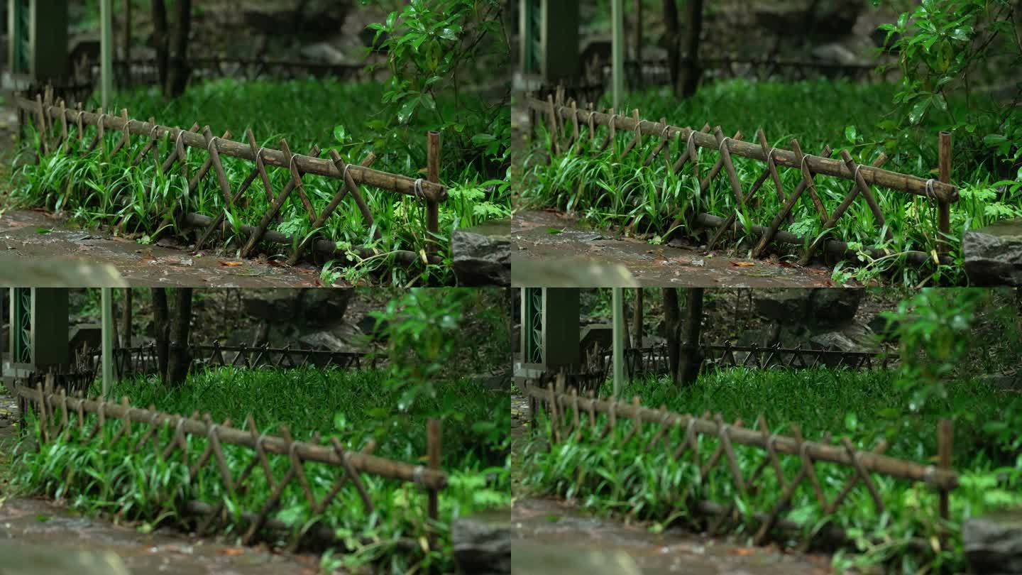 下雨天杭州虎跑圈前的篱笆