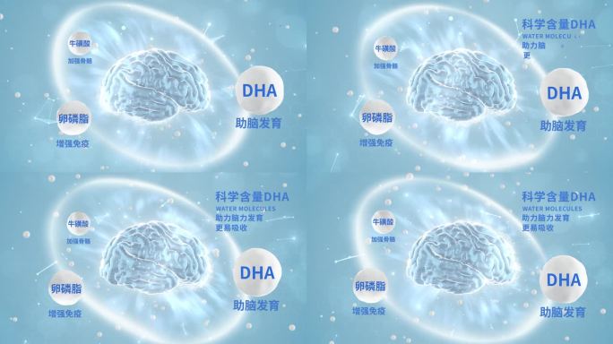 补充大脑营养 智力提升 脑部发育 DHA