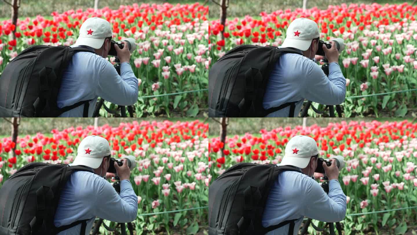 杭州太子湾 摄影师在拍摄盛开的郁金香