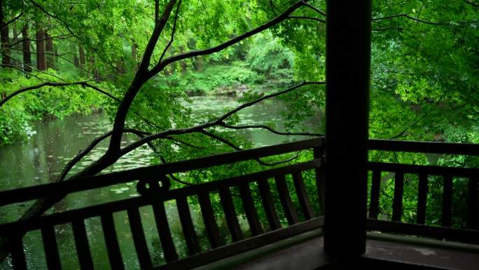 杭州虎跑下雨天绿色森林里水边亭子静谧幽静