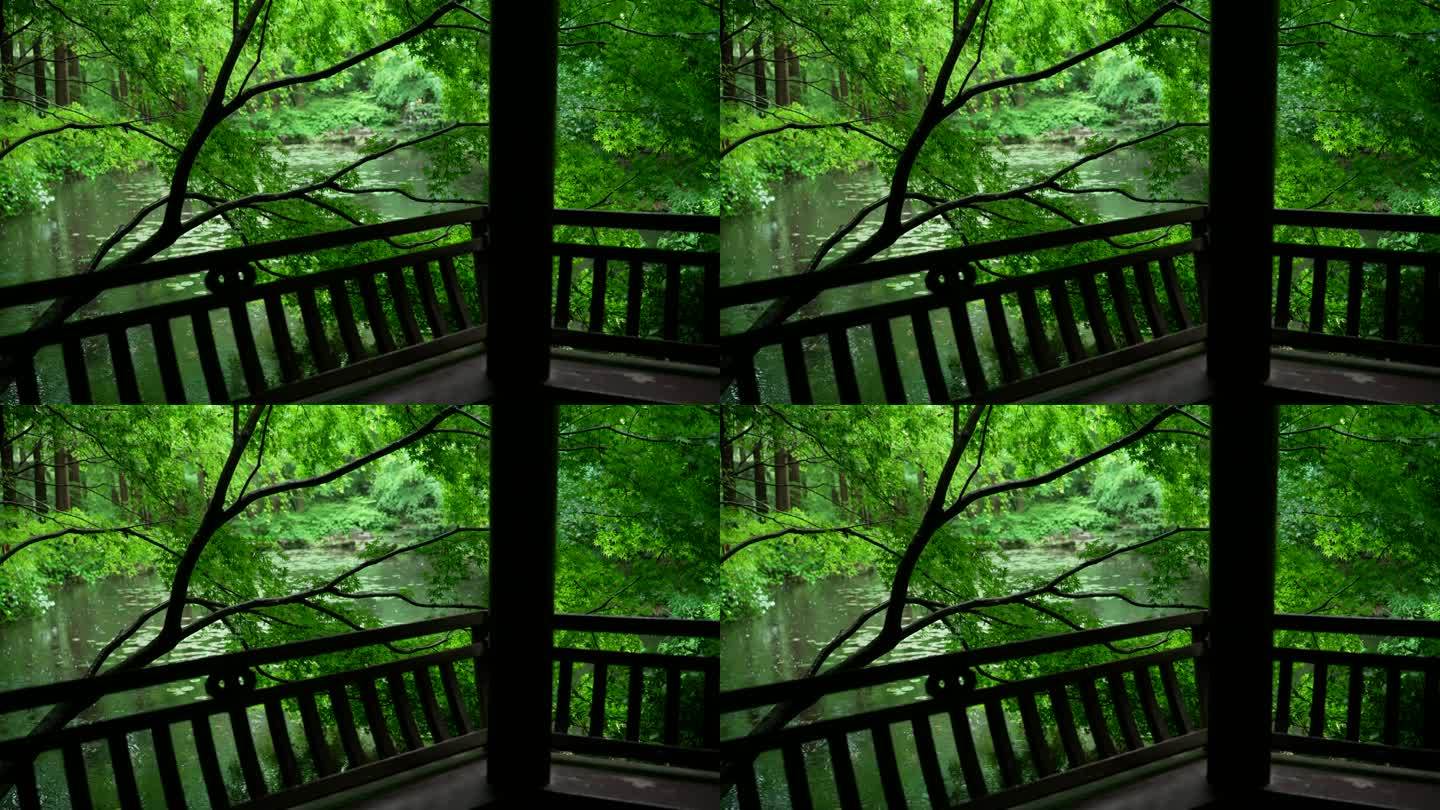 杭州虎跑下雨天绿色森林里水边亭子静谧幽静