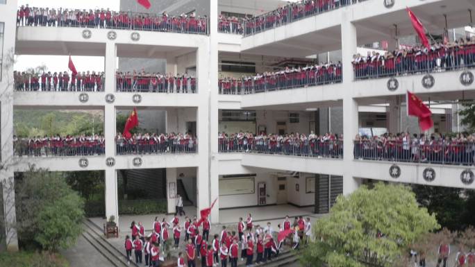 欢庆 欢庆欢呼 红旗 学校 庆祝 学生