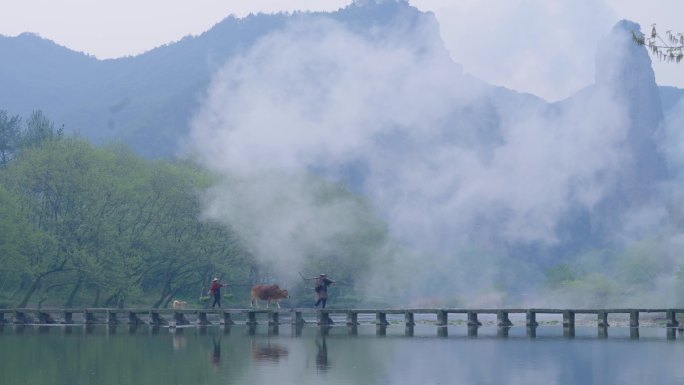 农夫牵着黄牛走过山水间石桥