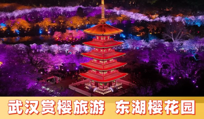 武汉东湖樱花园【夜景】