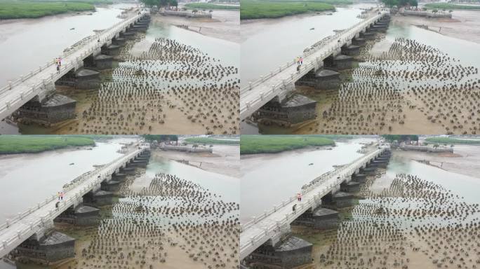 泉州世界遗产点洛阳桥