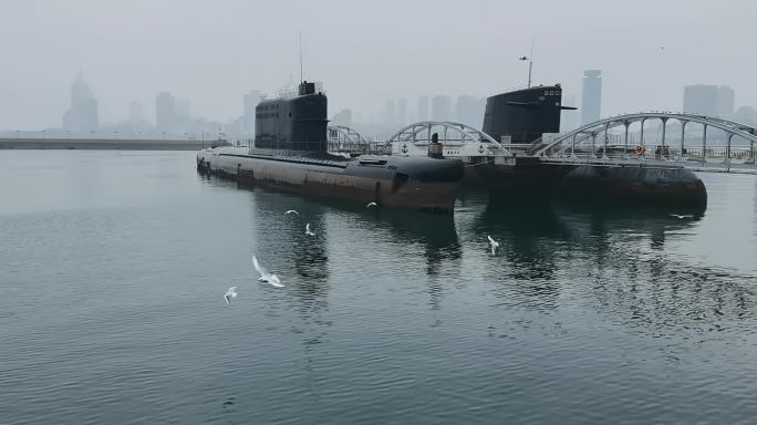 海边 沿海 青岛 栈桥 潜艇 海鸥 海军