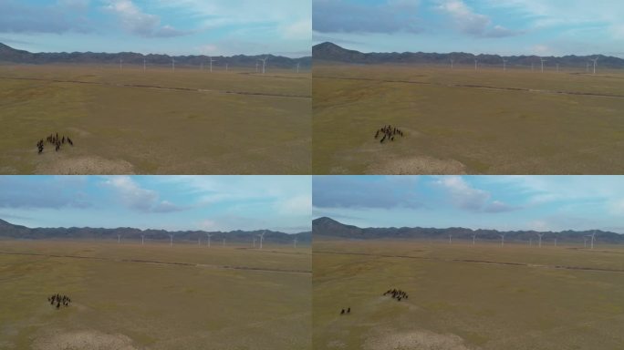 新疆草原上奔驰的骏马远处风力发电机组