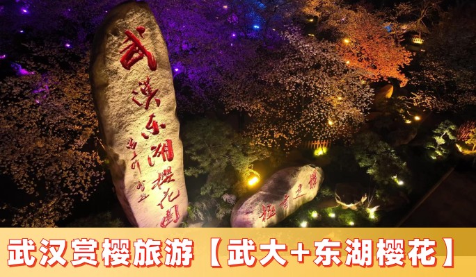 武汉赏樱旅游（武大樱花+东湖樱花）