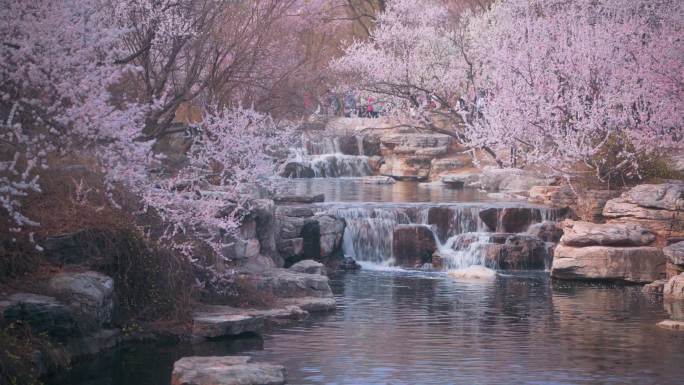 春天桃花河流