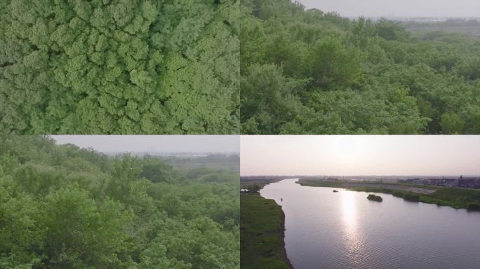 赤山树林大自然河流航拍C028