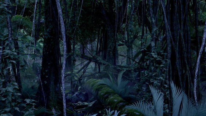 热带雨林 夜晚 舞台背景