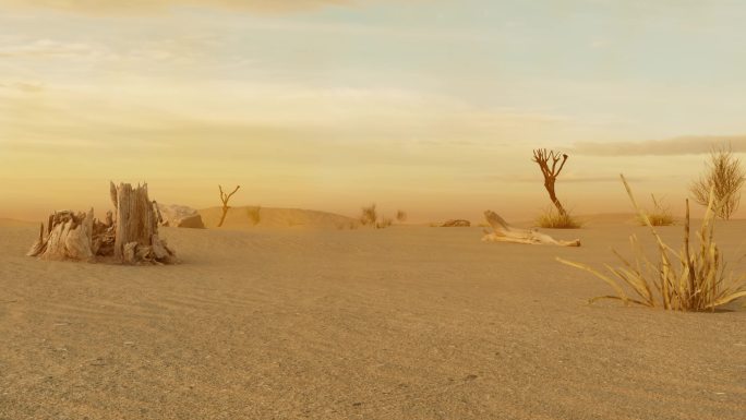 风沙治理沙漠景观环境变化