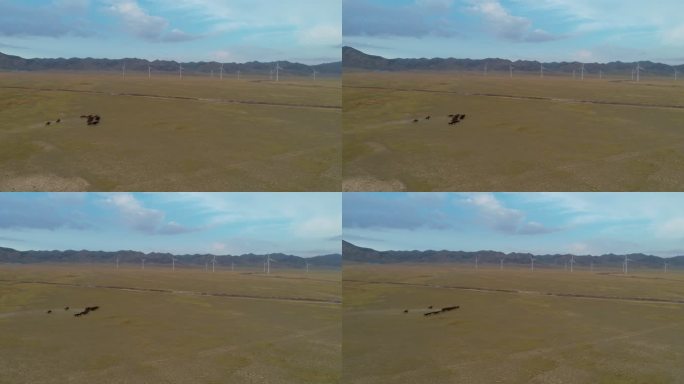 新疆草原上奔驰的骏马远处风力发电机组