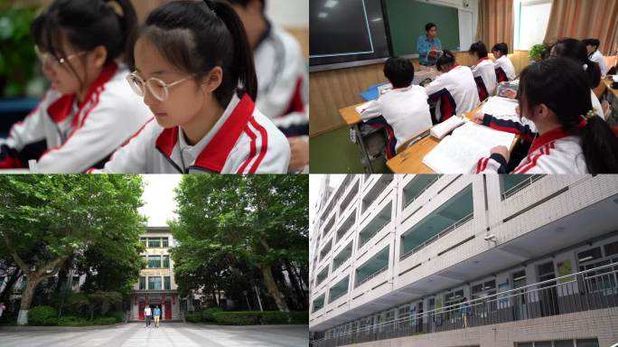 高中高中生高考学生高中老师看书中学上课