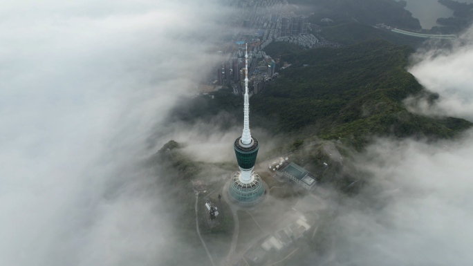 深圳梧桐山云海平流雾