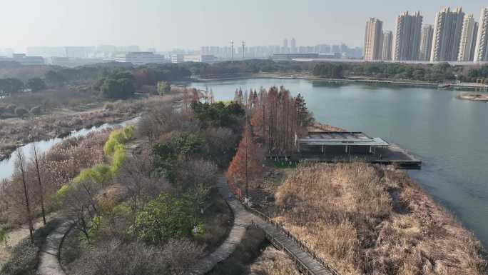 岛屿水岸湿地城市