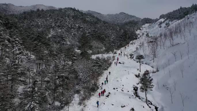 临安百丈岭太子尖雪天登山徒步