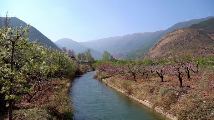 桃李种植林地