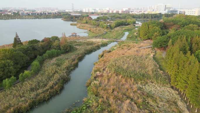 水岸公园水系