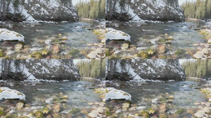 雪后溪边溪流视频素材
