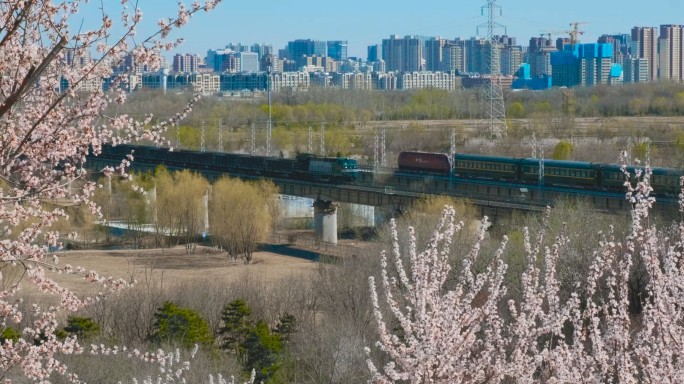 北京园博园开往春天的列车