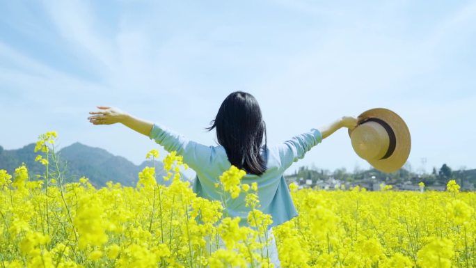 唯美清新女生背影油菜花女生挥手美女头发