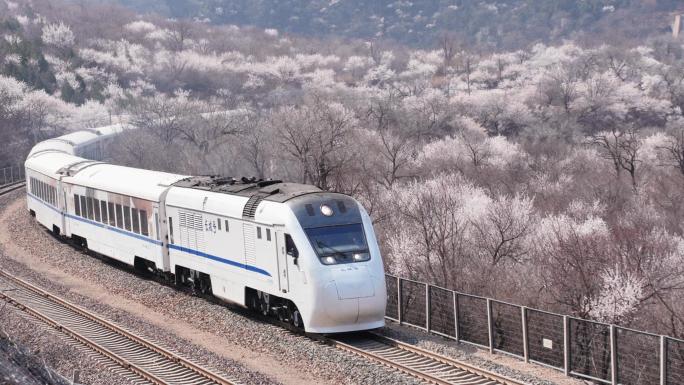4K北京的春天居庸关长城花海列车