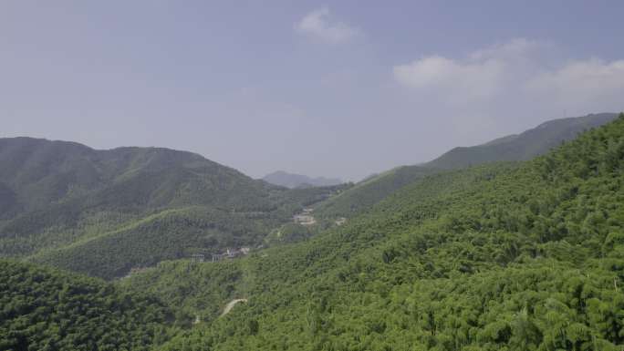 4K森林 自然风景 中国生态 树林航拍