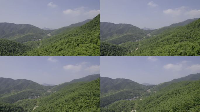 4K森林 自然风景 中国生态 树林航拍