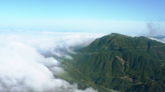 4k航拍福鼎太亩山白茶云顶晨雾