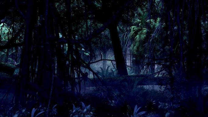 热带雨林 夜晚 平移