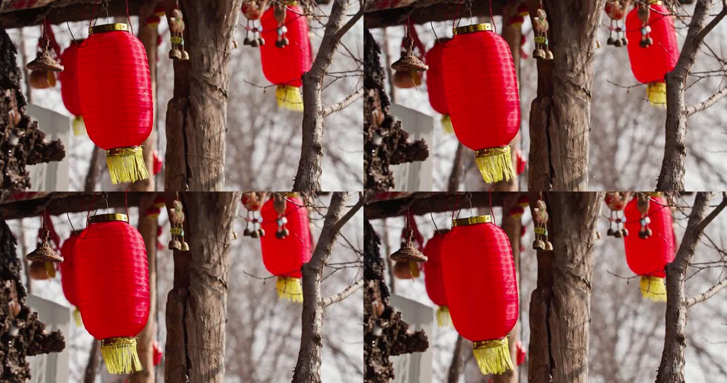 树上挂着的红灯笼随风摇摆