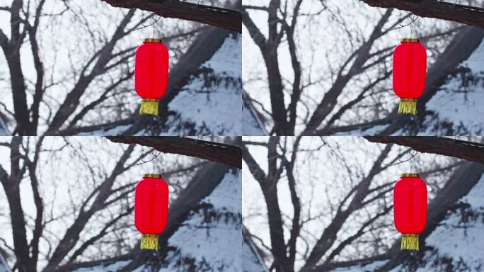 树梢上挂着的红灯笼