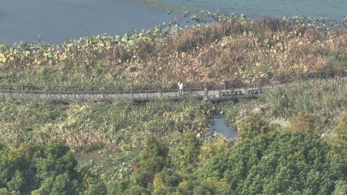 岛屿水岸湿地栈道