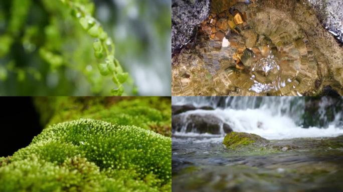 绿色 风景 水流水 升格