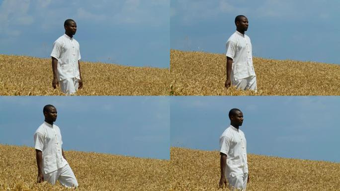 HD：麦田里的非洲男人