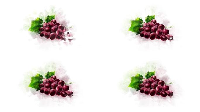 水彩葡萄的动画外观