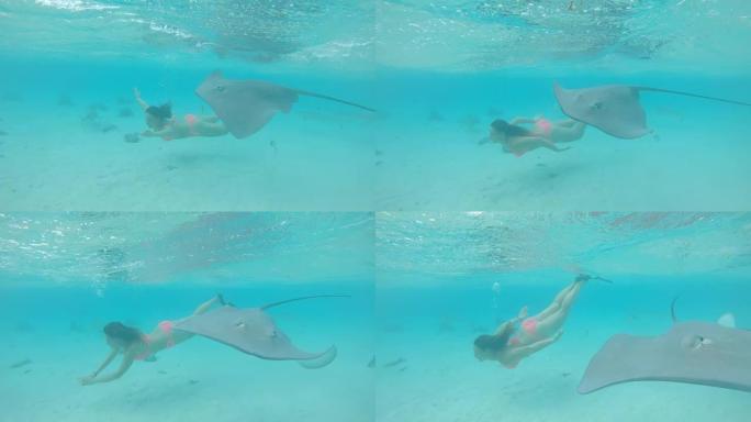 水下: 年轻女子和黄貂鱼在深蓝的海水中游泳。