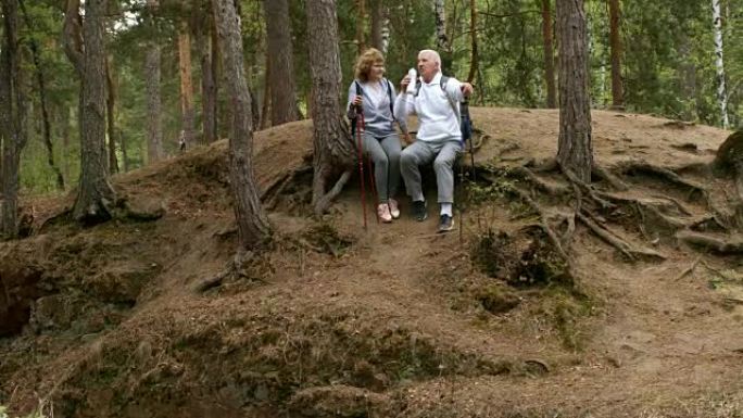 老年夫妇在森林远足中休息