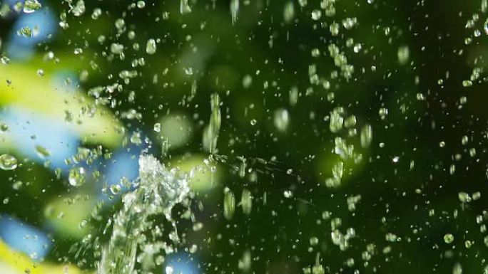 HD DOLLY：绿色植物水滴窗帘