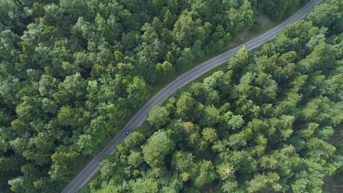 空中: 沿着穿过树林的道路高飞在汽车上方。