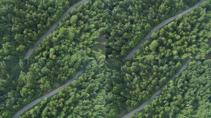 空中: 沿着穿过树林的道路高飞在汽车上方。