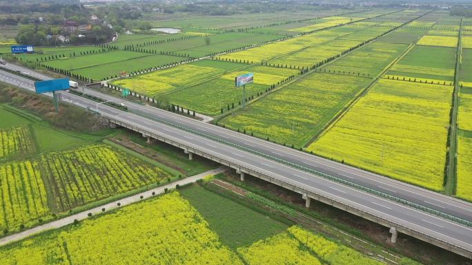 油菜花田野高速公路航拍1 无剪辑无压缩