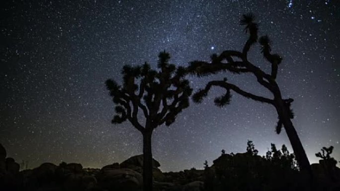 时间流逝: 夜间有约书亚树的沙漠-跟踪镜头