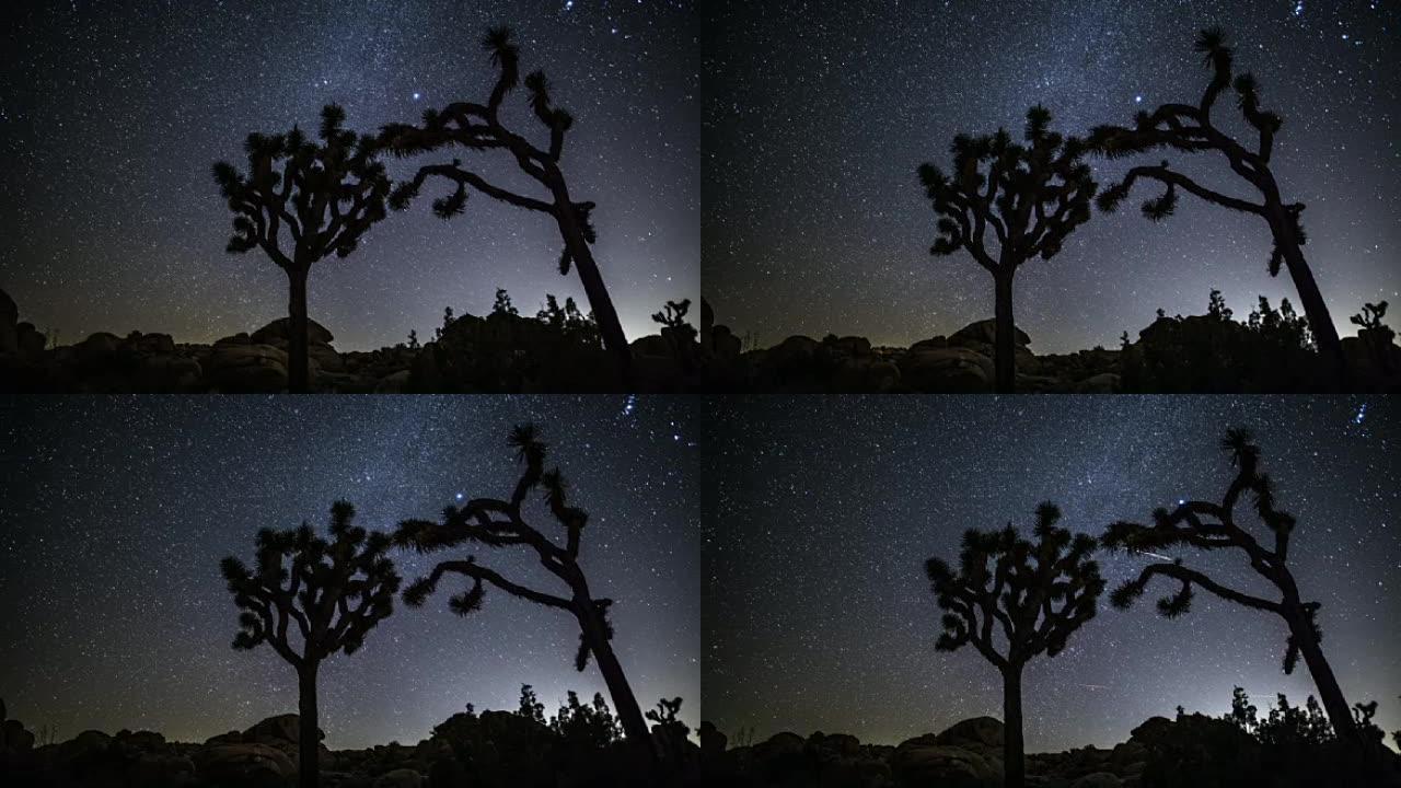 时间流逝: 夜间有约书亚树的沙漠-跟踪镜头