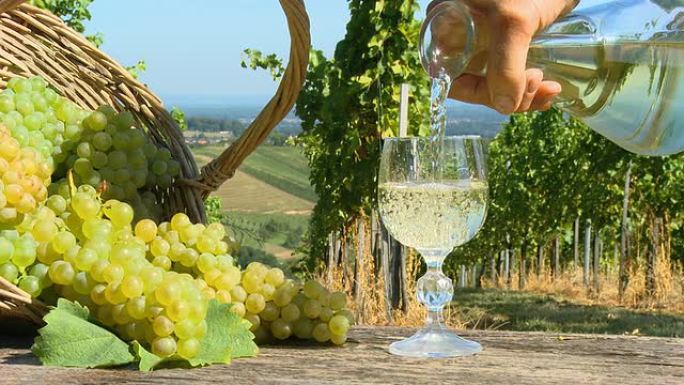 HD DOLLY：在葡萄园喝白葡萄酒