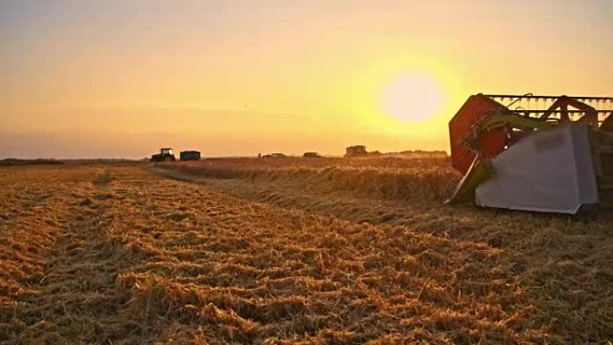 SLO MO结合在日出时在田间切割小麦