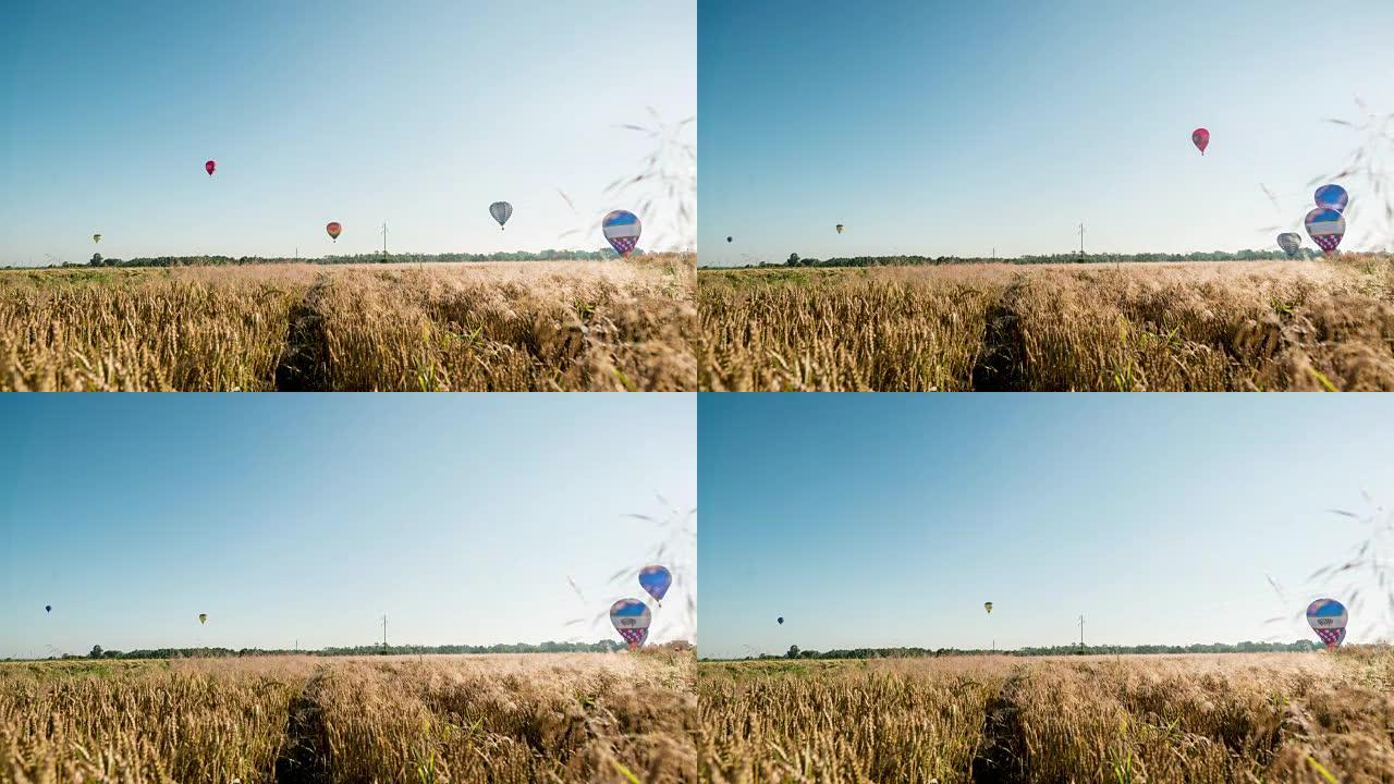 T/L空中热气球空中热气球