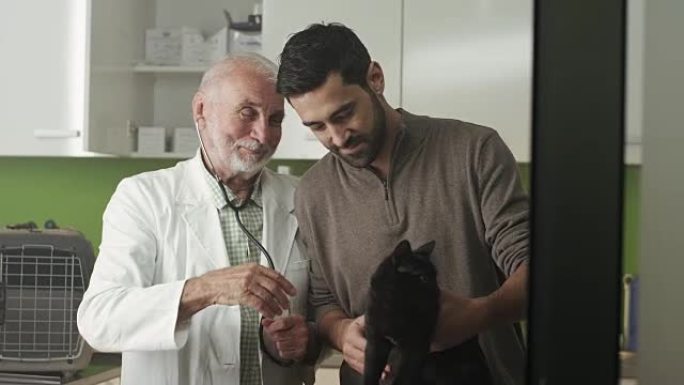 兽医诊所的黑家猫宠物医院宠物医生宠物检查