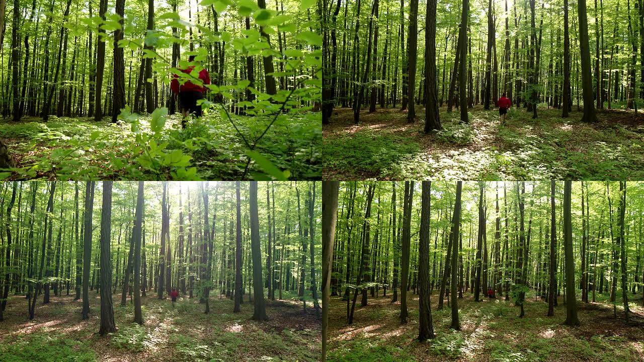 HD CRANE:在绿色森林中慢跑的人